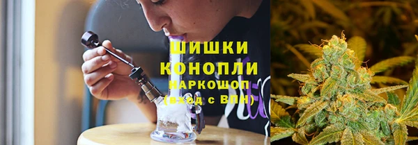 ГАЛЛЮЦИНОГЕННЫЕ ГРИБЫ Аркадак