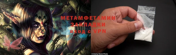 ГАЛЛЮЦИНОГЕННЫЕ ГРИБЫ Аркадак