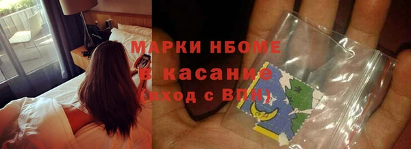 ГАЛЛЮЦИНОГЕННЫЕ ГРИБЫ Аркадак