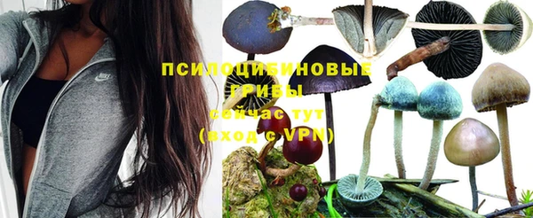ГАЛЛЮЦИНОГЕННЫЕ ГРИБЫ Армянск