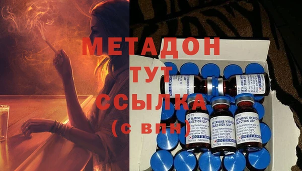 ГАЛЛЮЦИНОГЕННЫЕ ГРИБЫ Аркадак