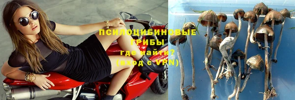 ГАЛЛЮЦИНОГЕННЫЕ ГРИБЫ Армянск